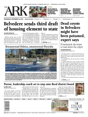 Front page of The Ark, November 20, 2024